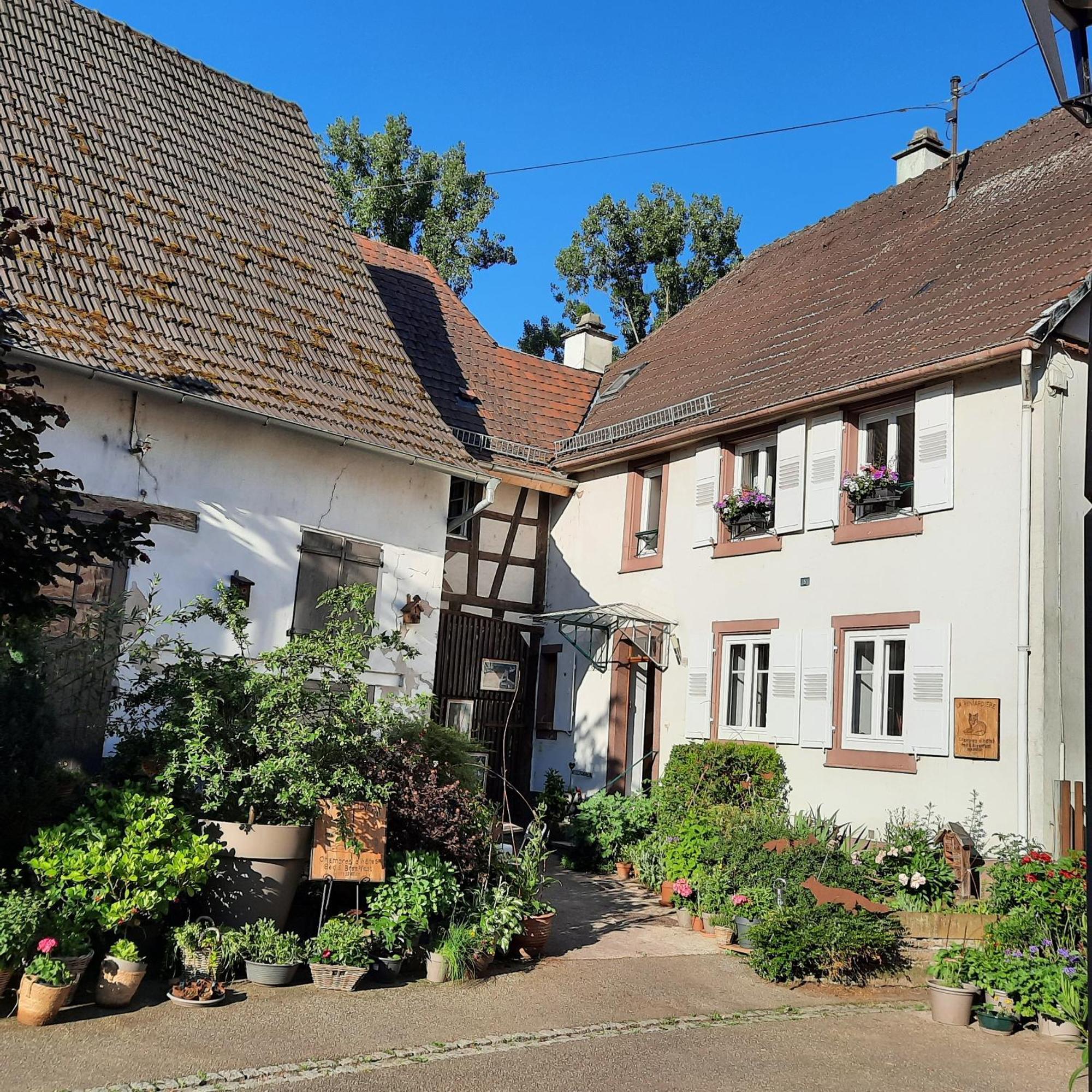 La Renardiere Reichshoffen Kültér fotó